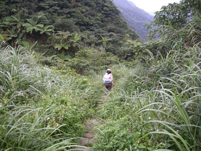 貂山古道+大粗坑步道--尋找一段淒美的傳說~ - nurseilife.cc