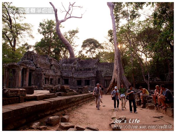 【Angkor】Ta Prohm 塔普倫寺 - nurseilife.cc