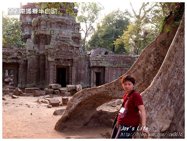 【Angkor】Ta Prohm 塔普倫寺 - nurseilife.cc