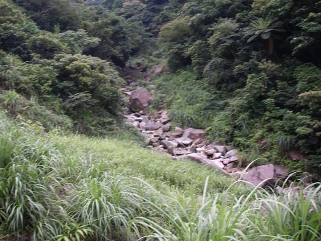 貂山古道+大粗坑步道--尋找一段淒美的傳說~ - nurseilife.cc