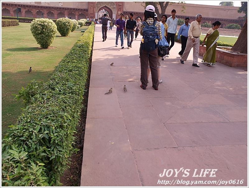 【印度】Agra Fort 阿格拉堡<世界文化遺產> - nurseilife.cc