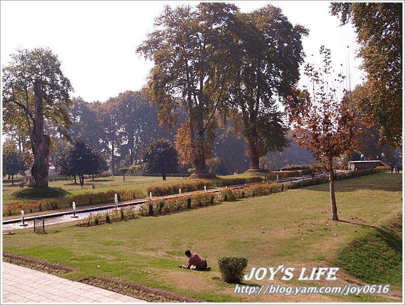 【印度】Mughal Garden Nishat 最有名的花園 - nurseilife.cc