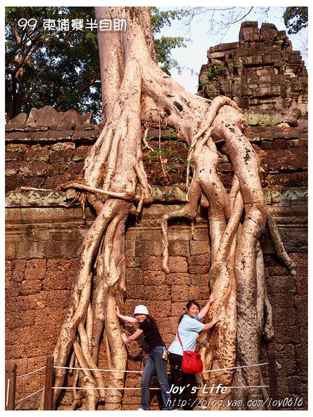 【Angkor】Ta Prohm 塔普倫寺 - nurseilife.cc