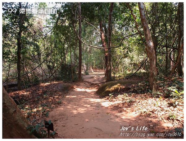 【Angkor】Kbal Spean 高布斯濱水底浮雕 - nurseilife.cc