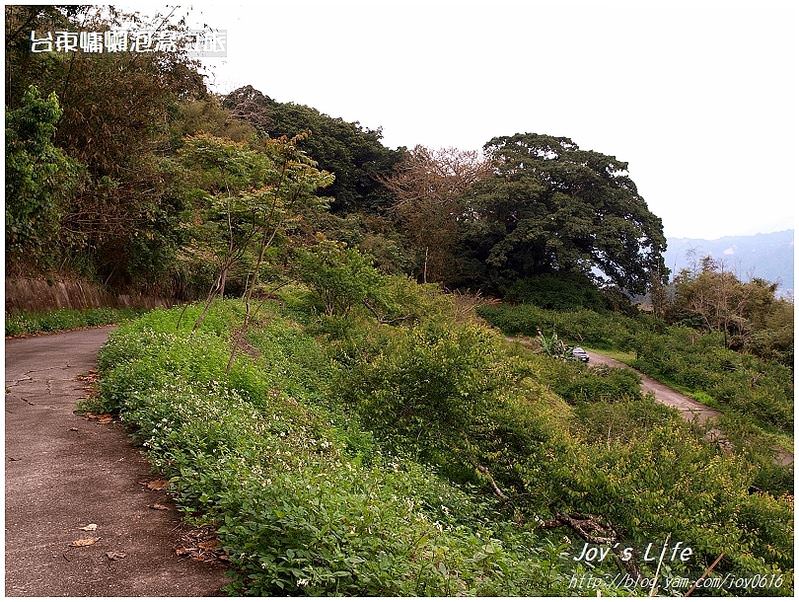 【台東鹿野】森林博物館-會走路的樹 - nurseilife.cc