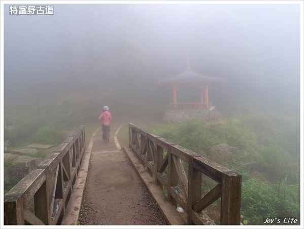 【嘉義阿里山】迷霧‧特富野古道 - nurseilife.cc