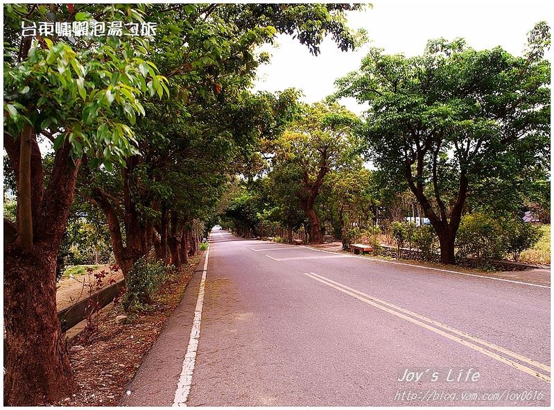 【台東鹿野】永昌綠色隧道 - nurseilife.cc