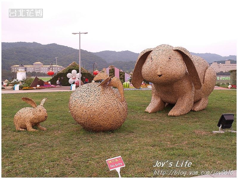 【台北】花博蔬果饗宴&花圃競賽區 - nurseilife.cc