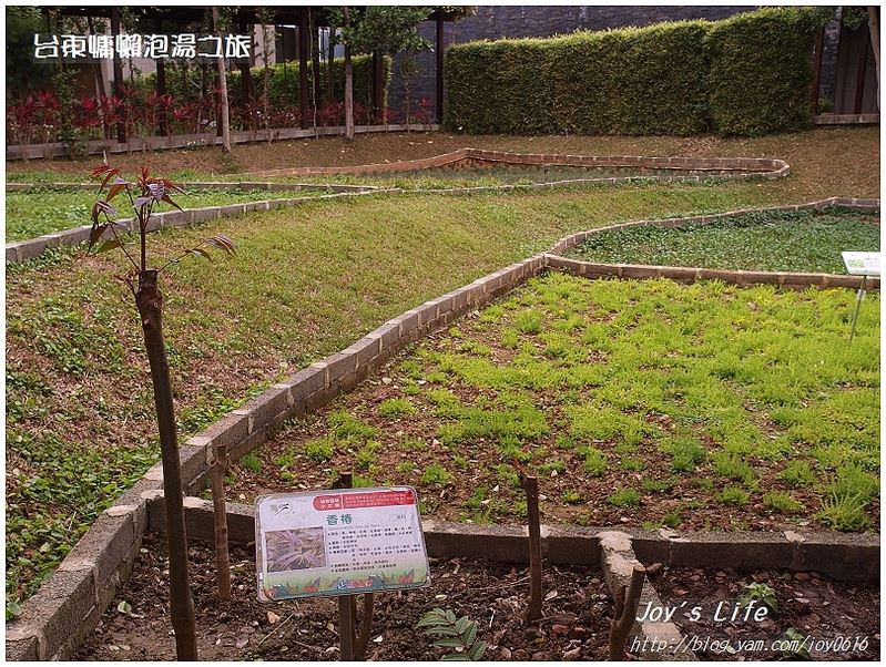 【台東】原生應用植物園 - nurseilife.cc