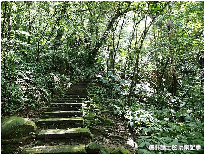 【新北住宿】空氣中滿滿的芬多精 一秒到雨林的住宿@大板根森林溫泉渡假村 - nurseilife.cc