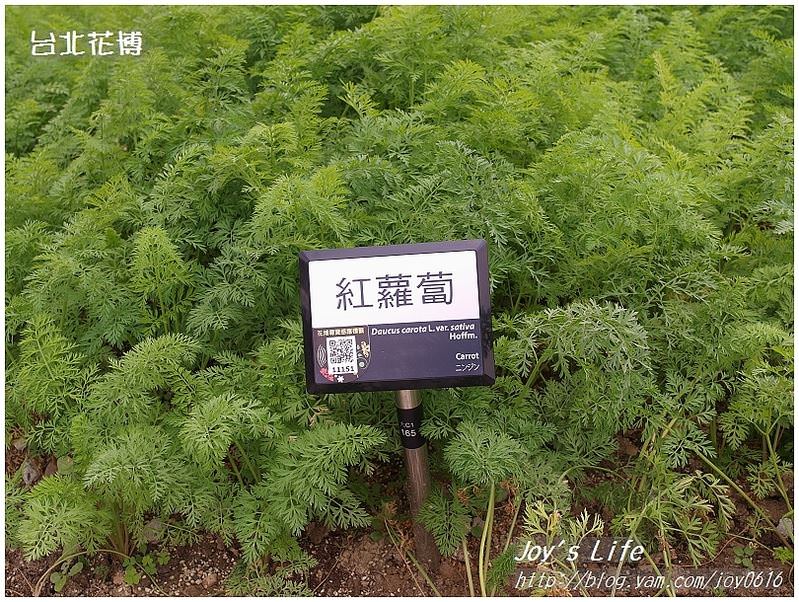 【台北】花博蔬果饗宴&花圃競賽區 - nurseilife.cc