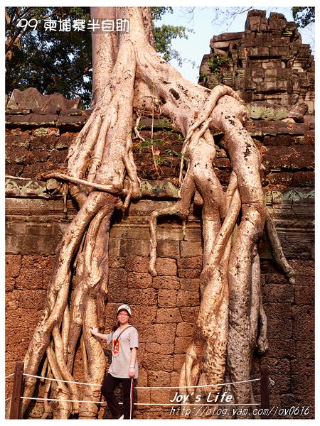 【Angkor】Ta Prohm 塔普倫寺 - nurseilife.cc