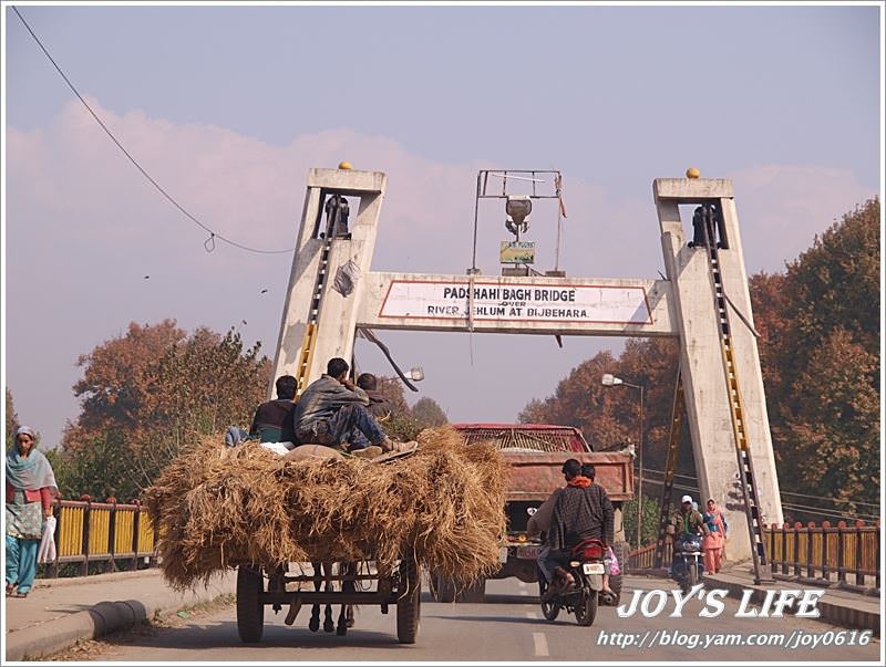 【印度】前往渡假勝地Pahalgam,途經番紅花產地喝番紅花茶~ - nurseilife.cc