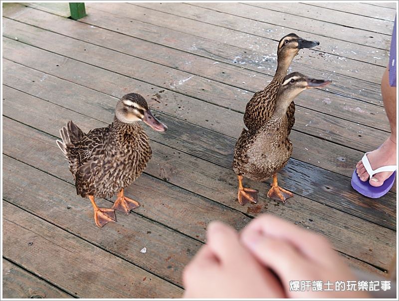 【花蓮住宿】歐式水岸景觀渡假莊園，理想大地渡假飯店。 - nurseilife.cc