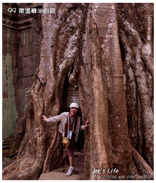 【Angkor】Ta Prohm 塔普倫寺 - nurseilife.cc