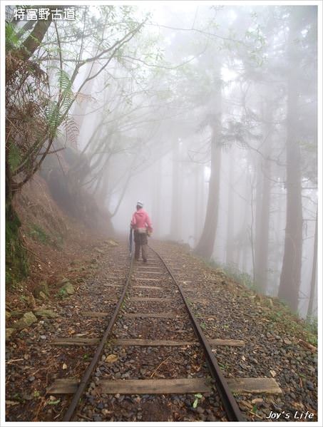 【嘉義阿里山】迷霧‧特富野古道 - nurseilife.cc