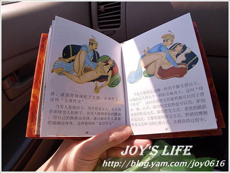 【印度】性書介紹，印度泡妞與娶妻的教科書~ - nurseilife.cc