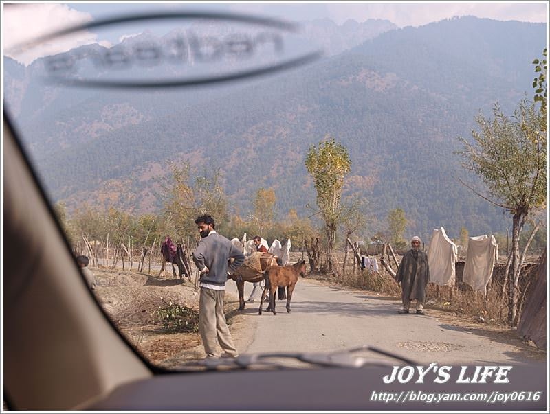 【印度】前往渡假勝地Pahalgam,途經番紅花產地喝番紅花茶~ - nurseilife.cc